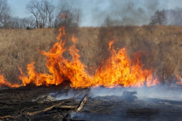 В Самарской области есть риск возникновения пожаров