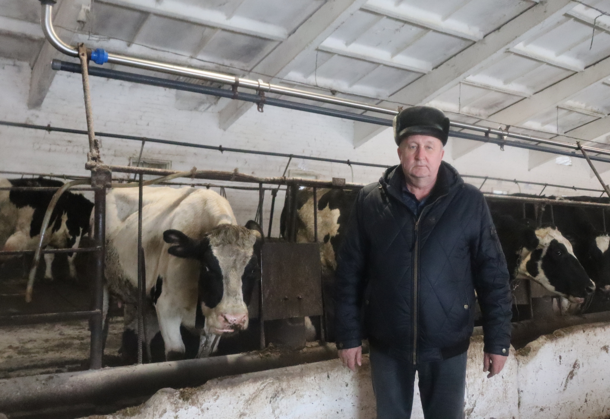 Мастера своего дела