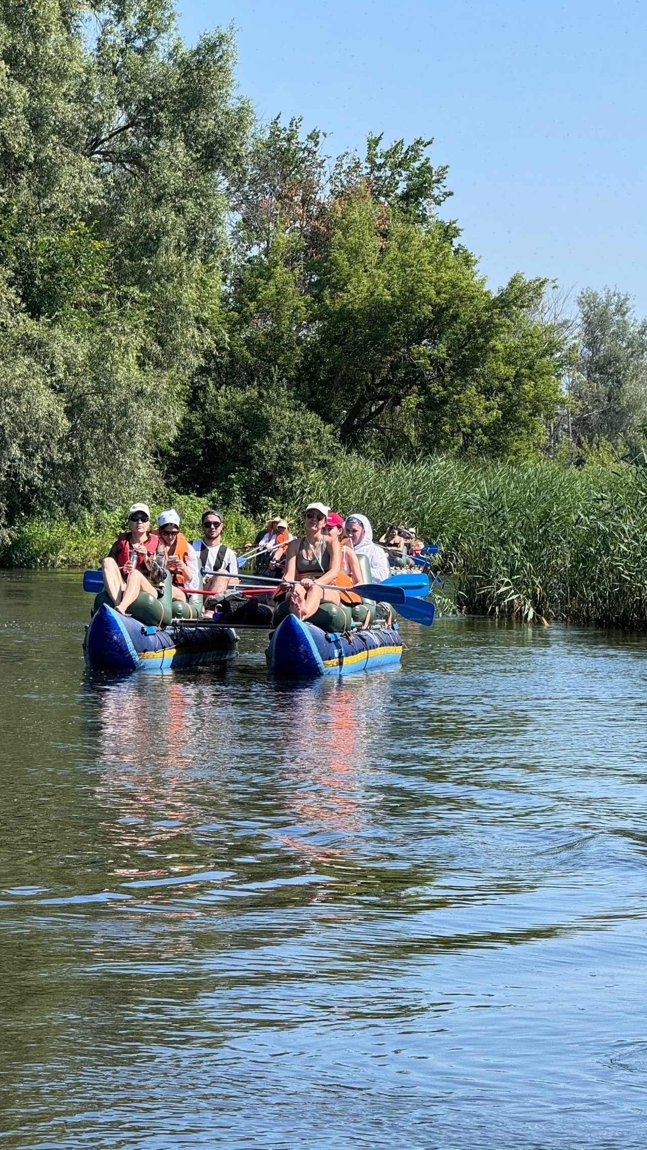 Ведется уборка озимых